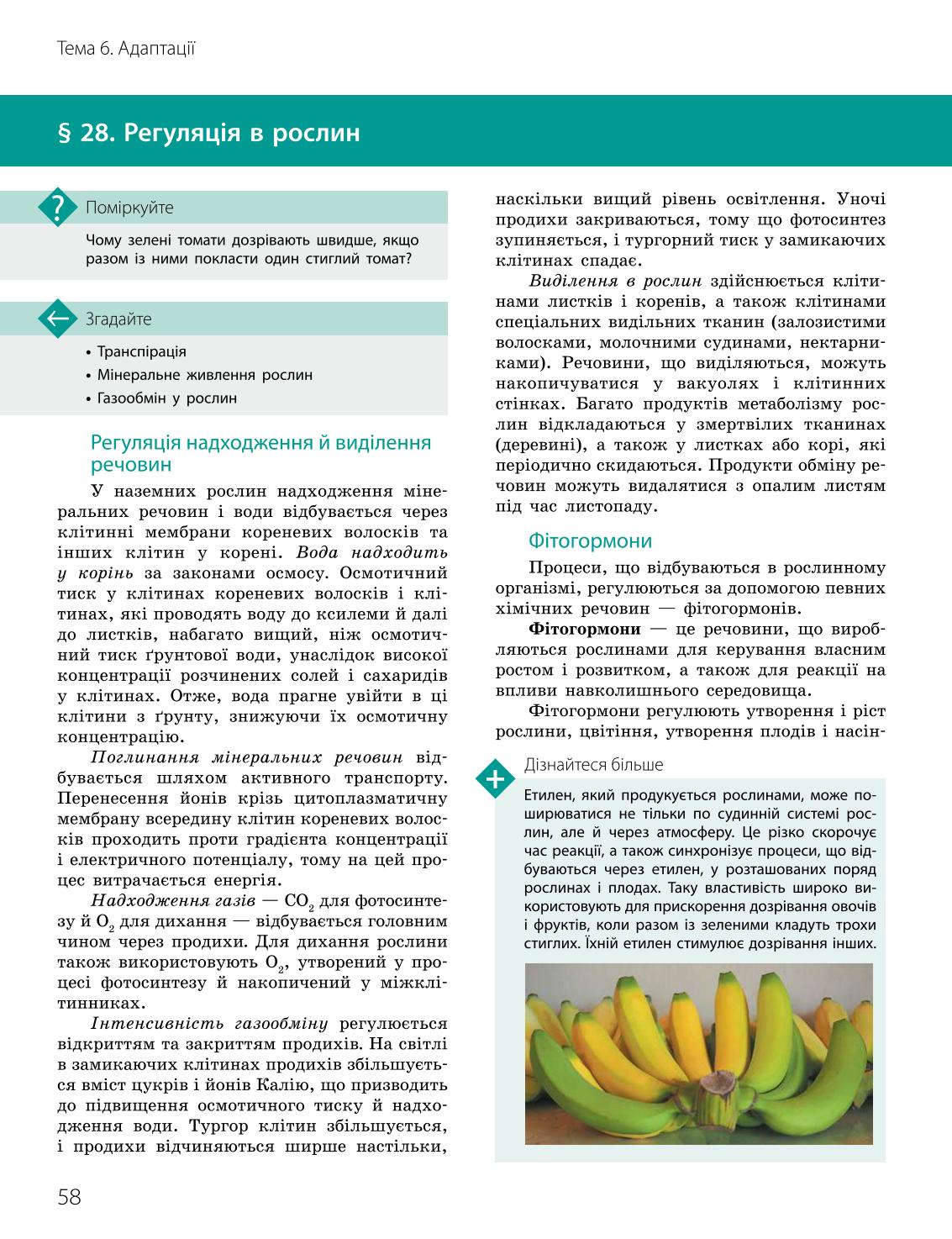 Мініатюра 58