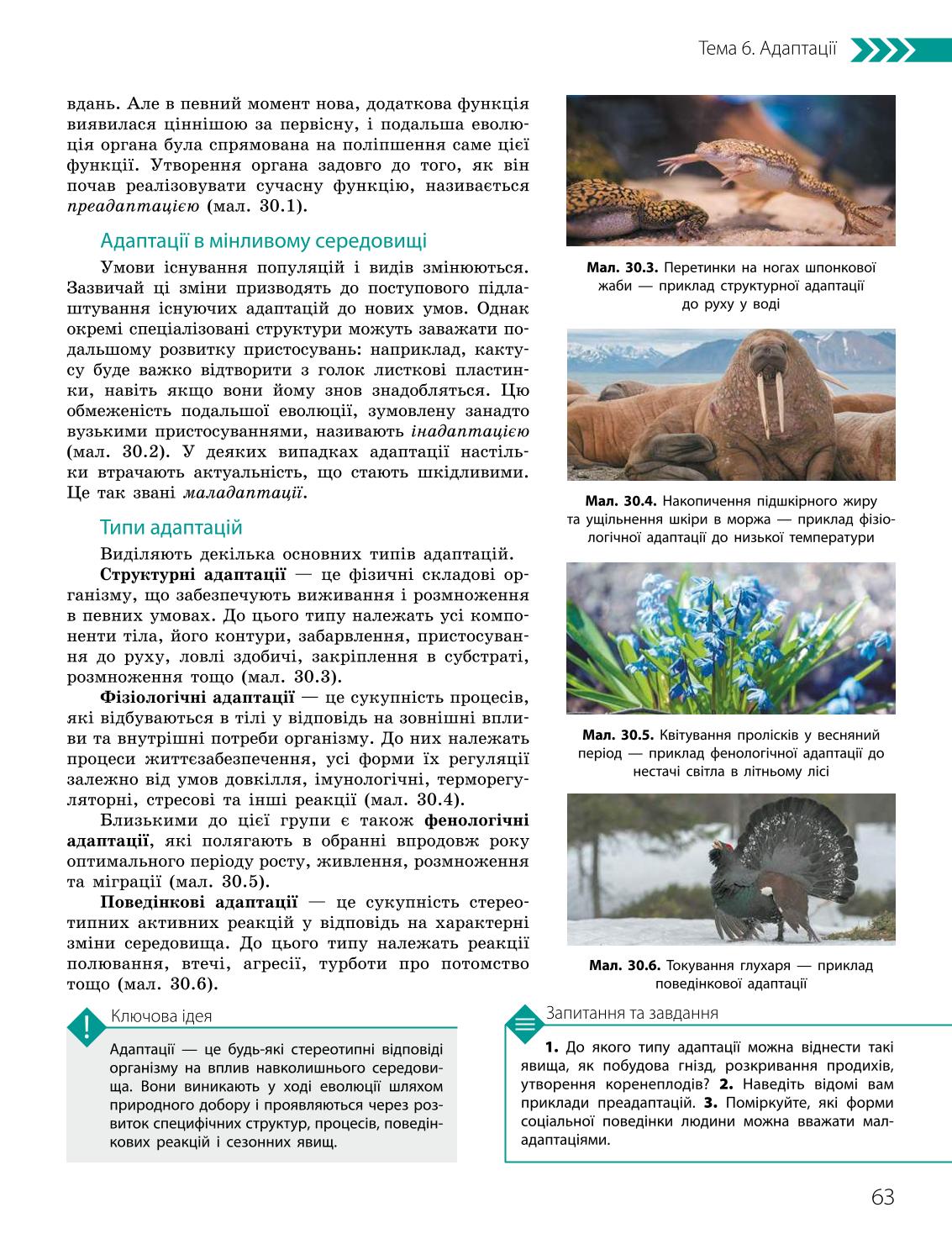 Мініатюра 63