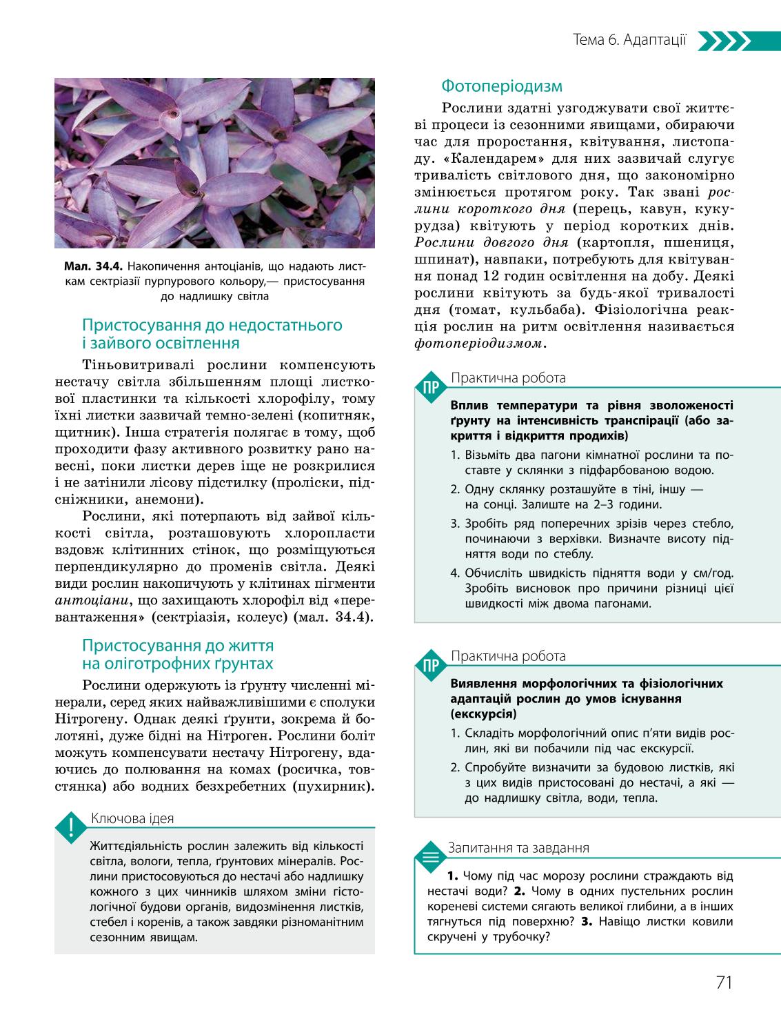 Мініатюра 71