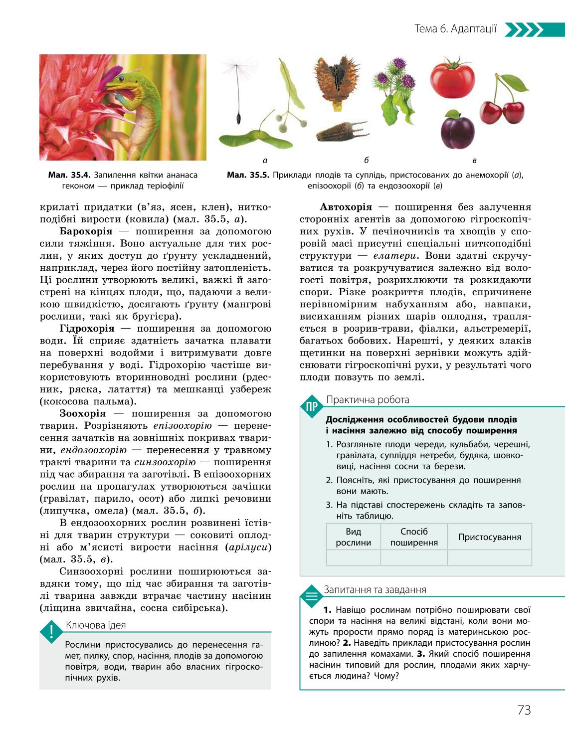 Мініатюра 73