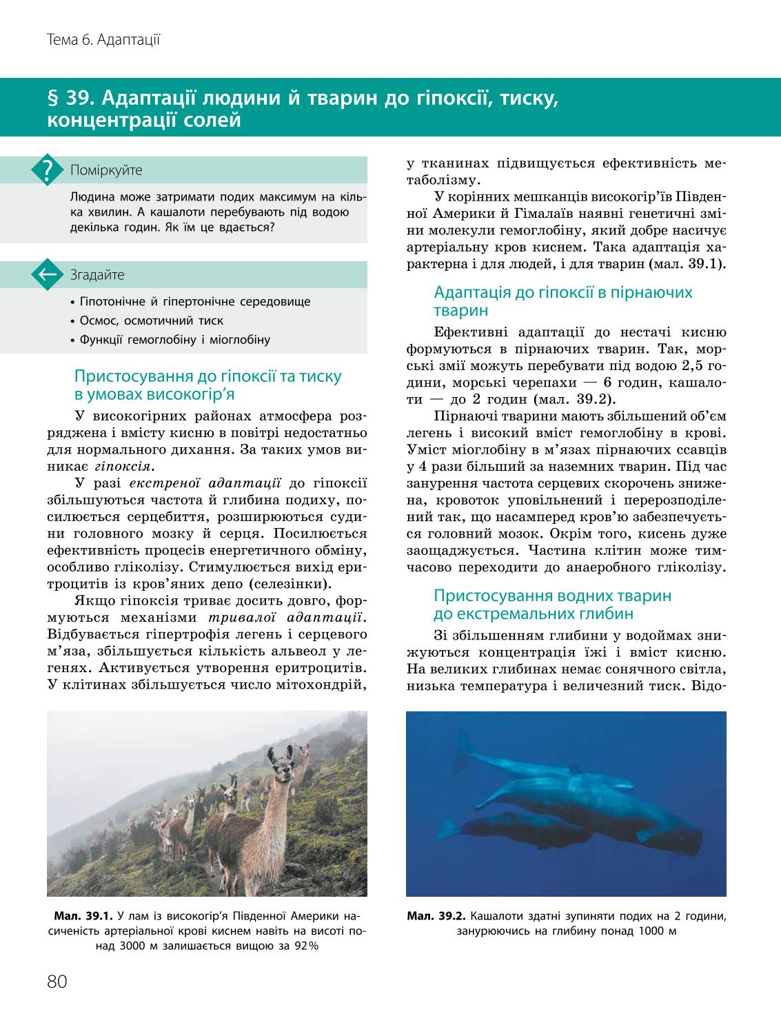 Мініатюра 80