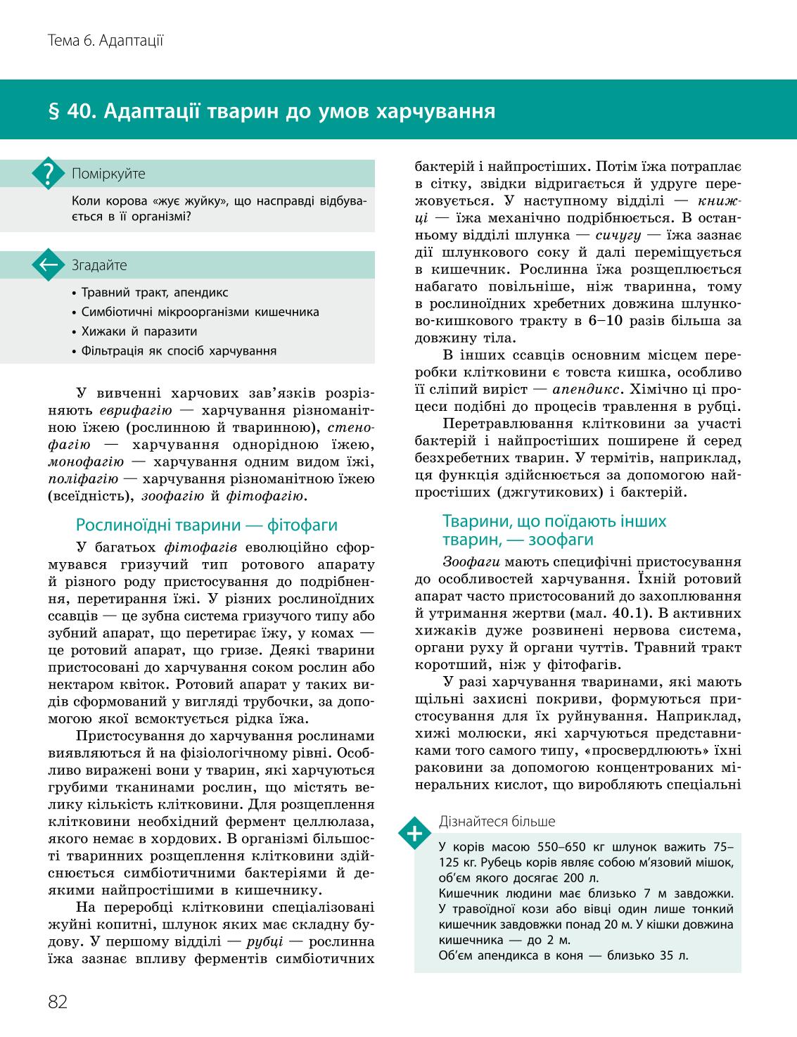 Мініатюра 82