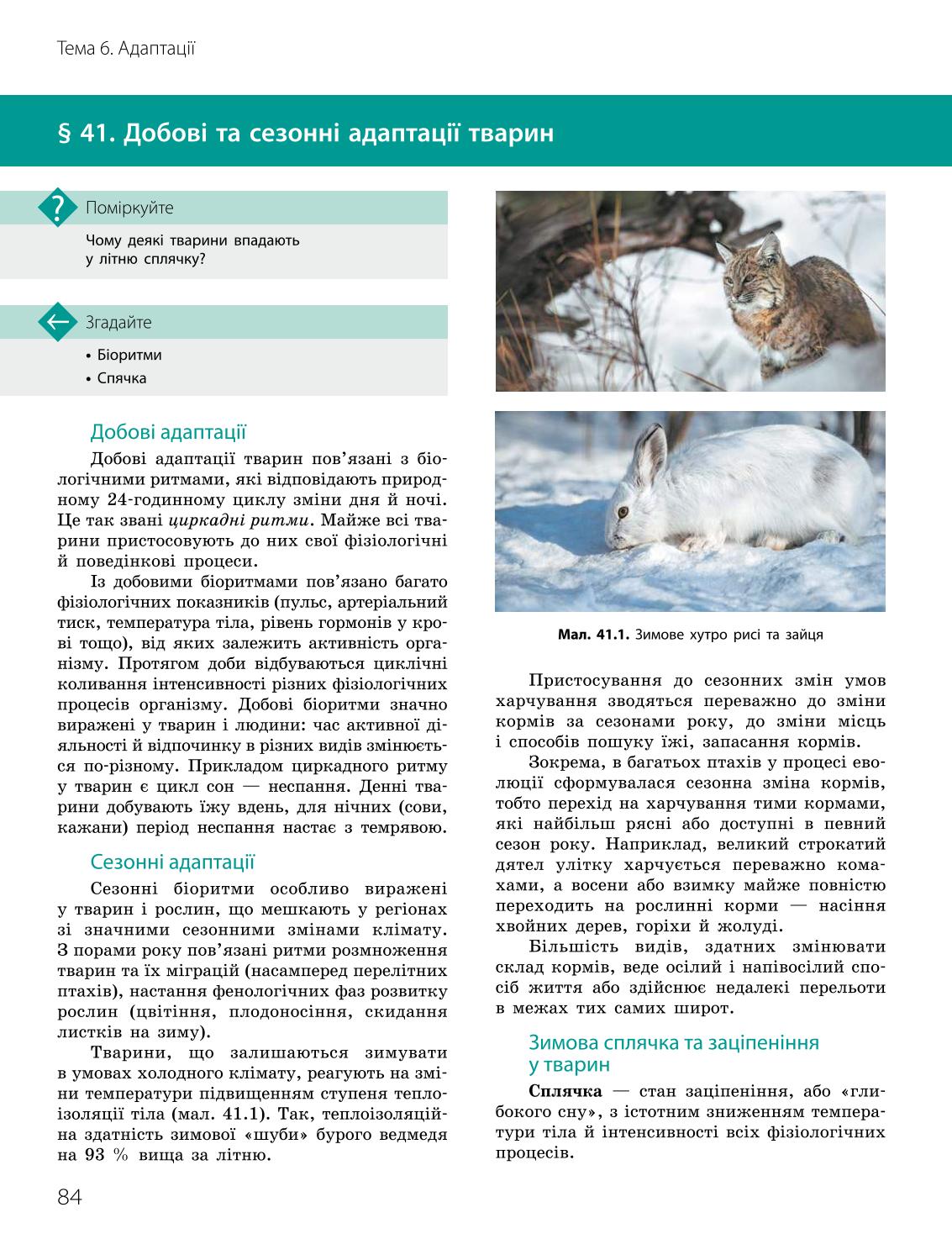 Мініатюра 84