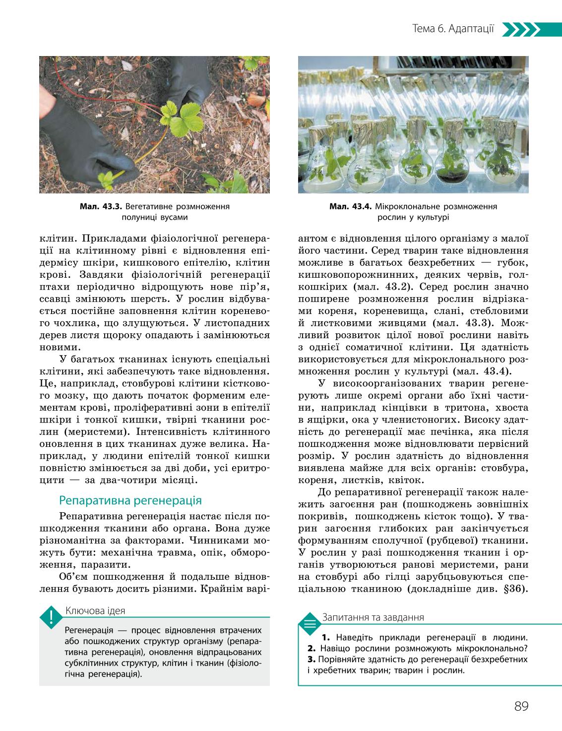Мініатюра 89