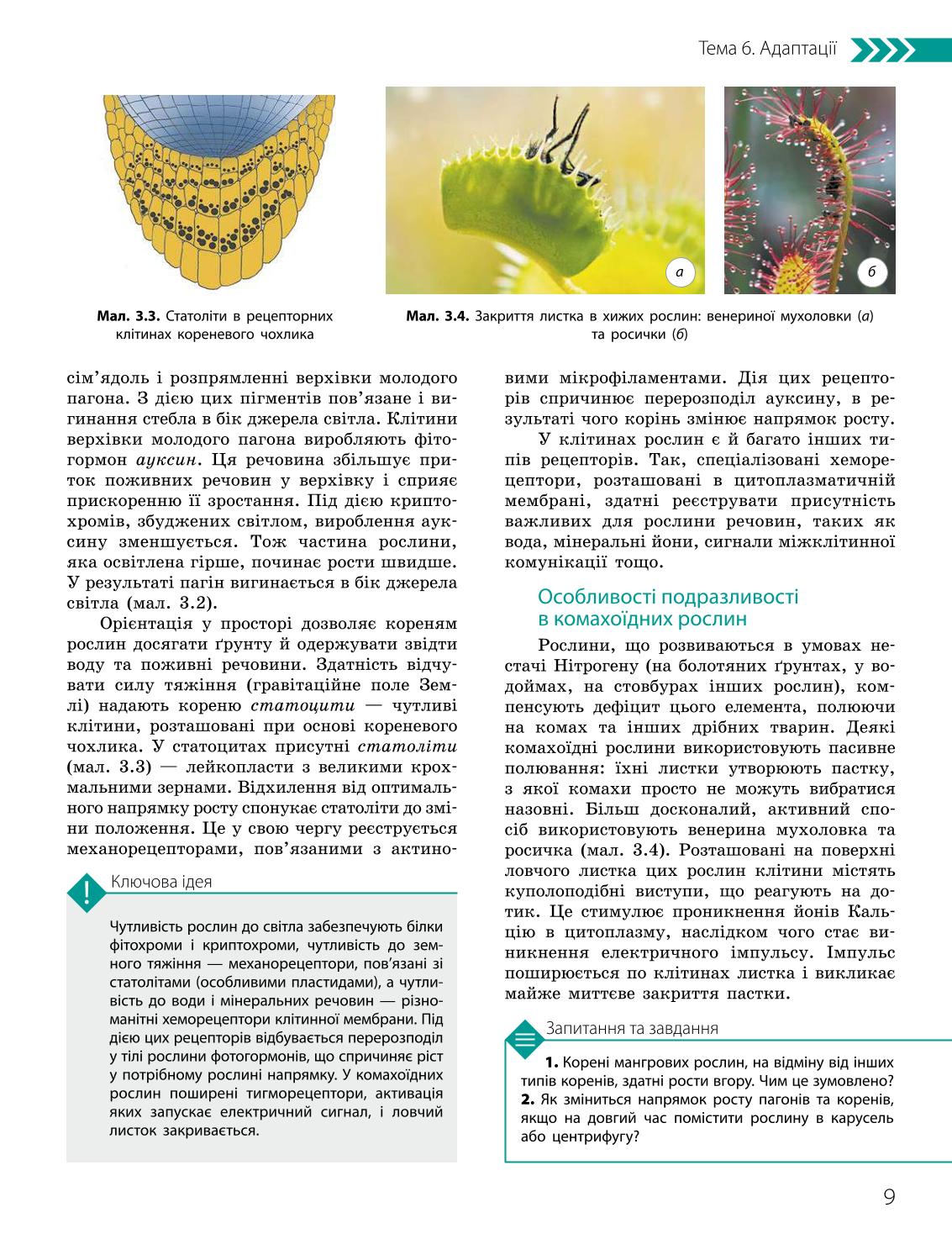 Мініатюра 9