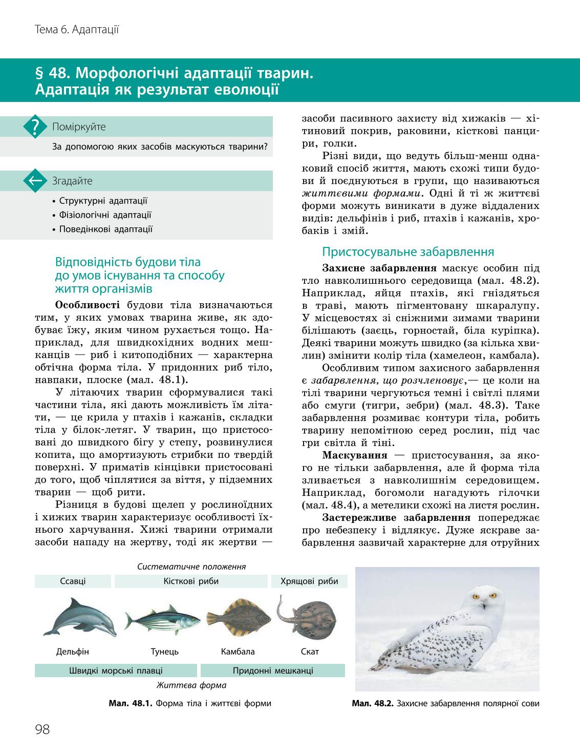 Мініатюра 98