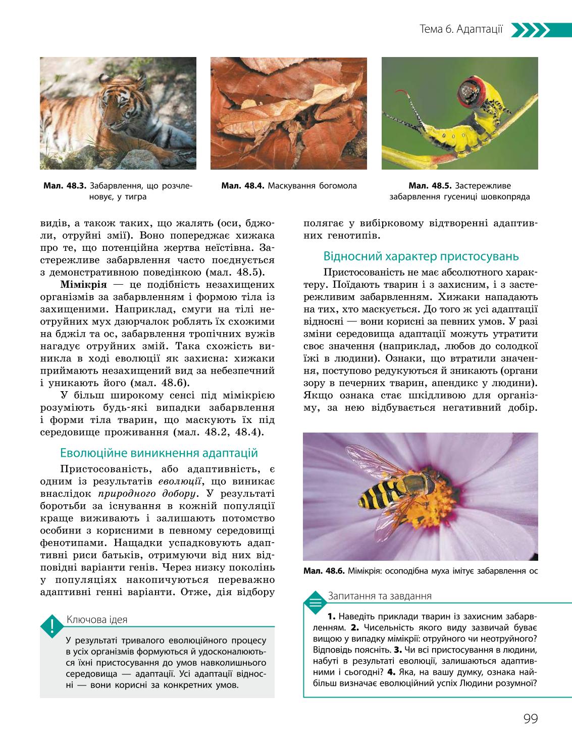 Мініатюра 99