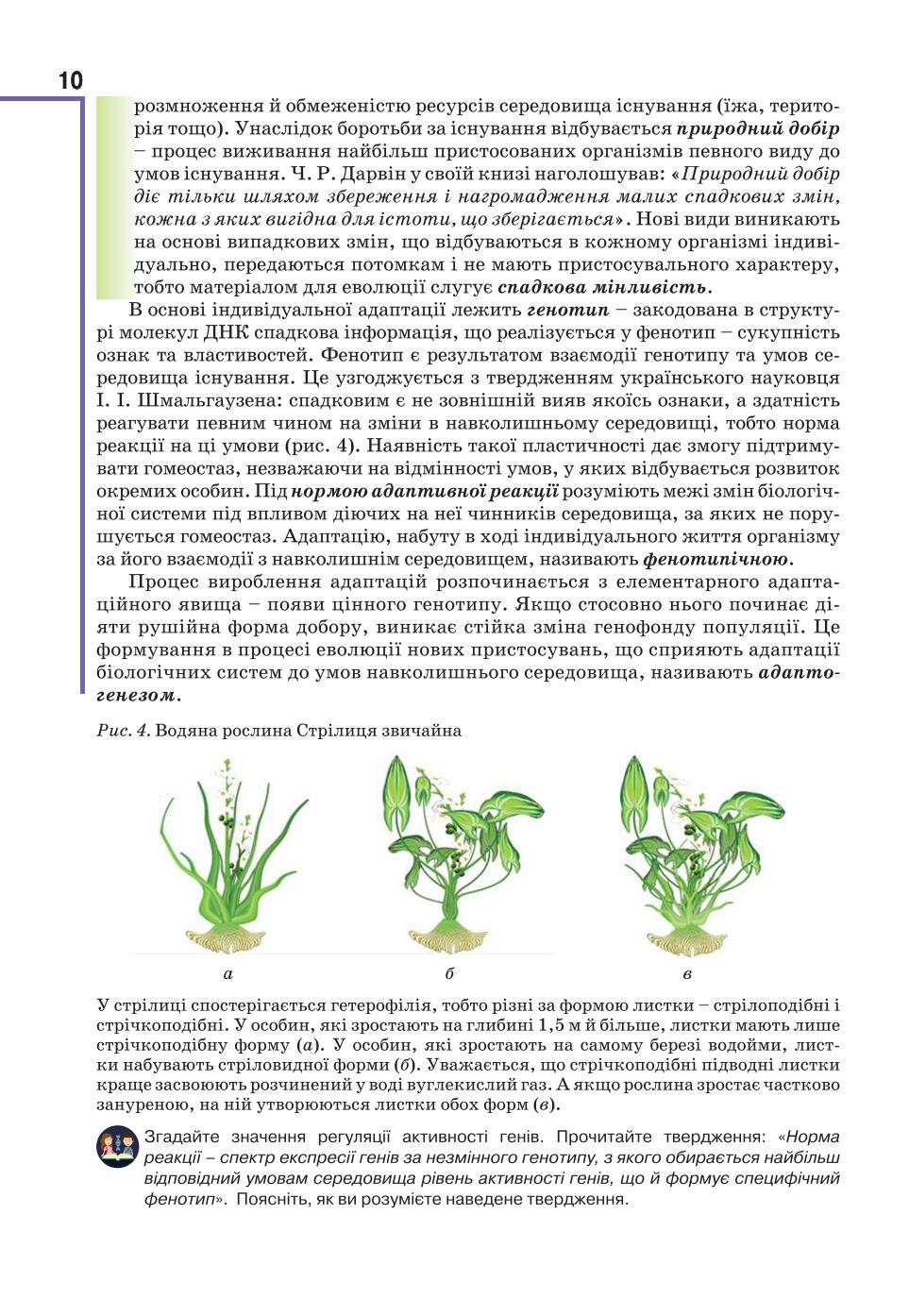 Мініатюра 10