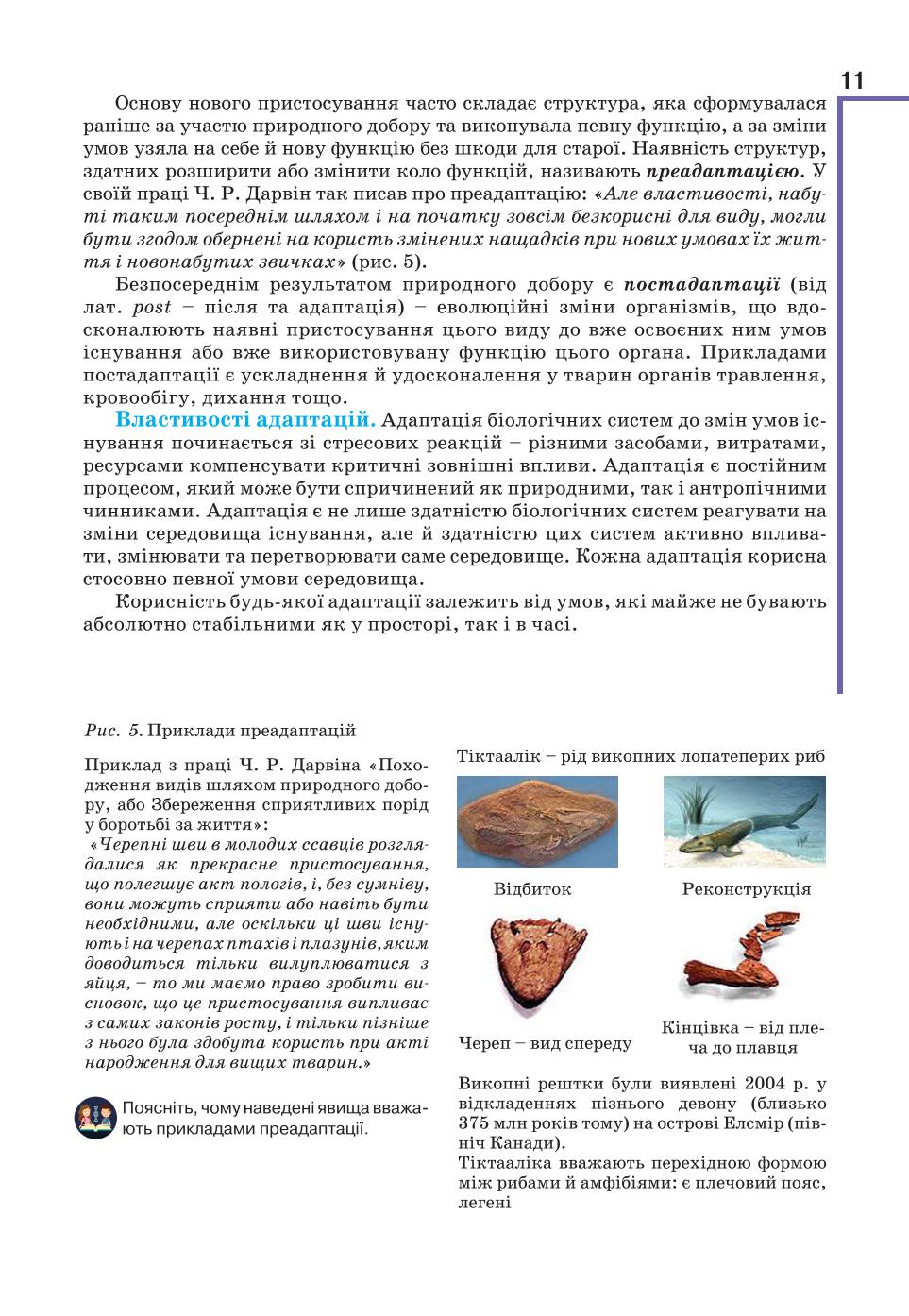 Мініатюра 11