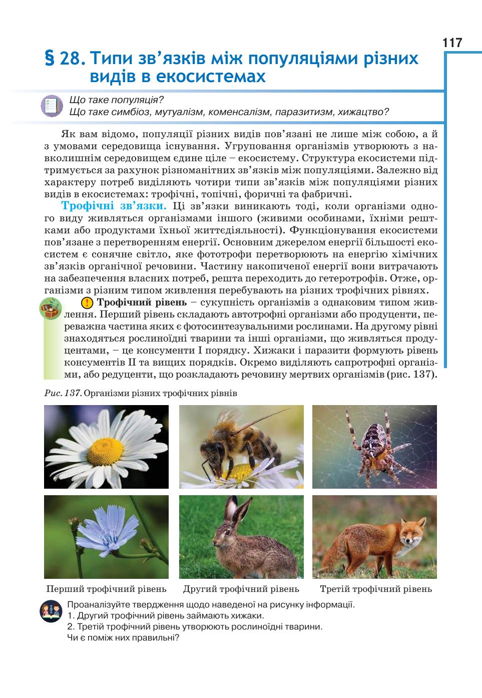 Мініатюра 117