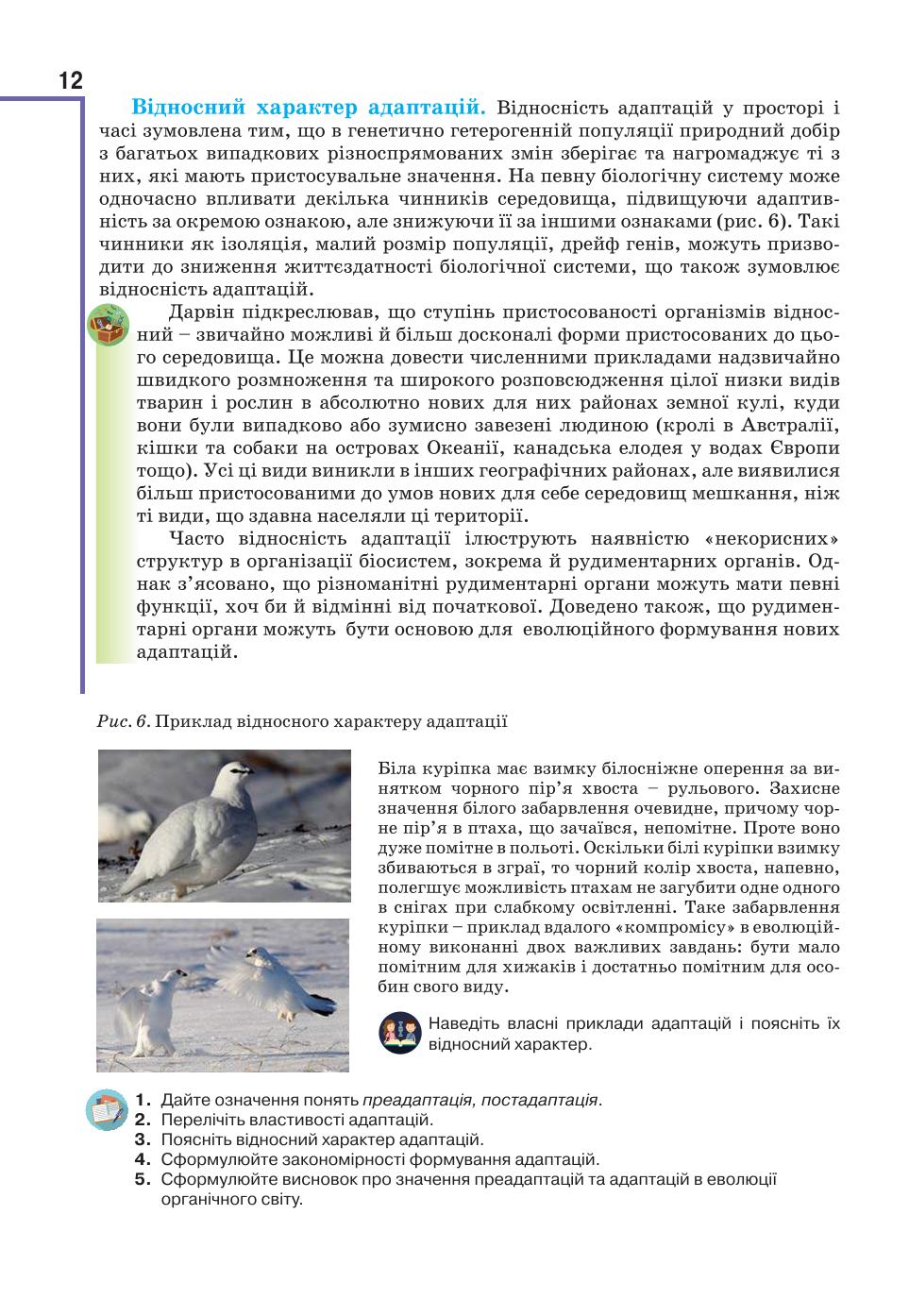 Мініатюра 12