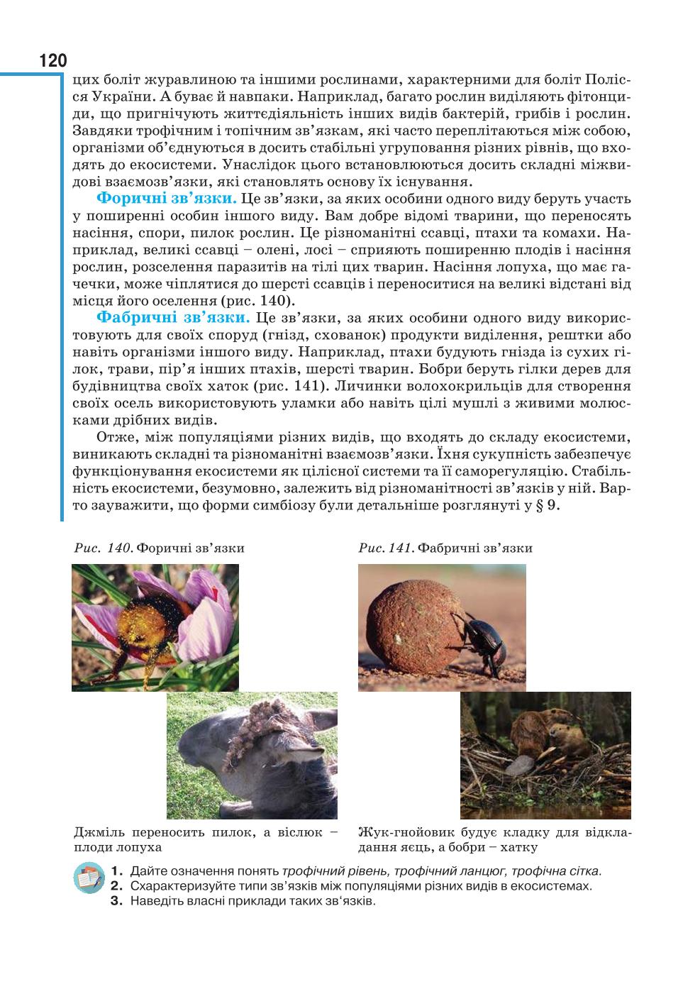 Мініатюра 120