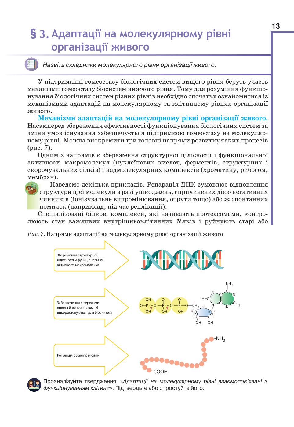 Мініатюра 13