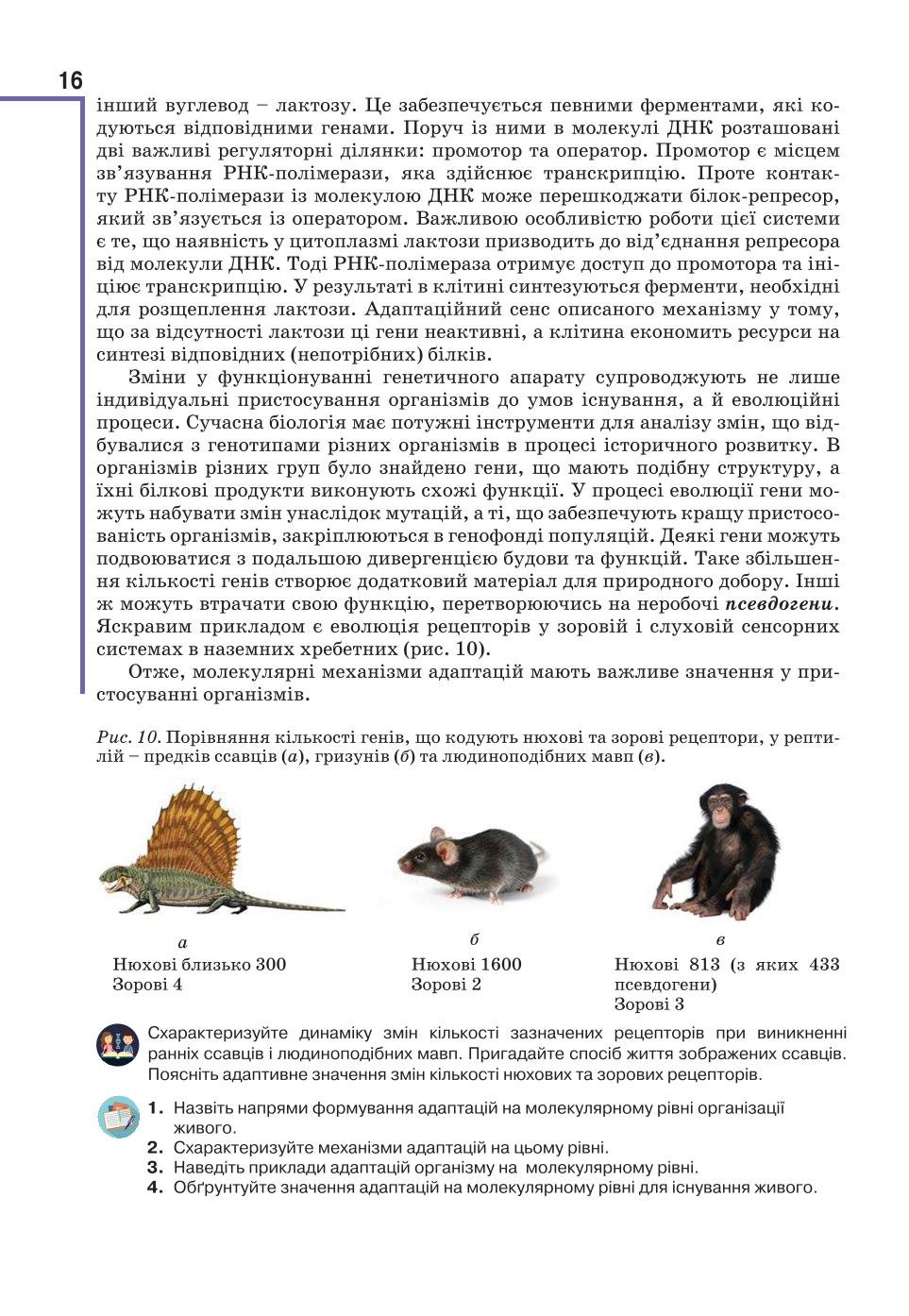 Мініатюра 16