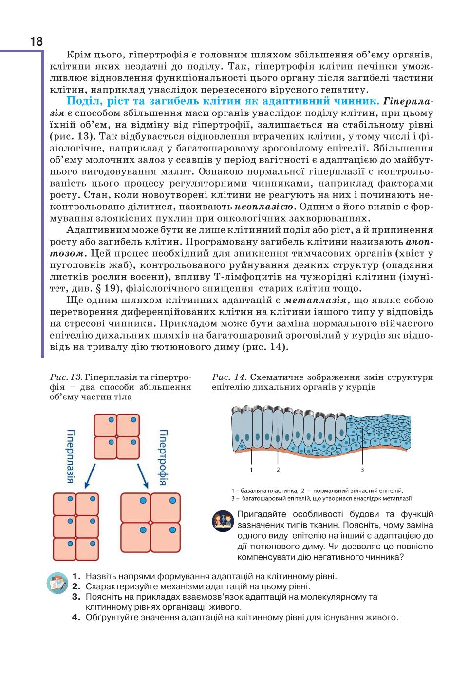 Мініатюра 18