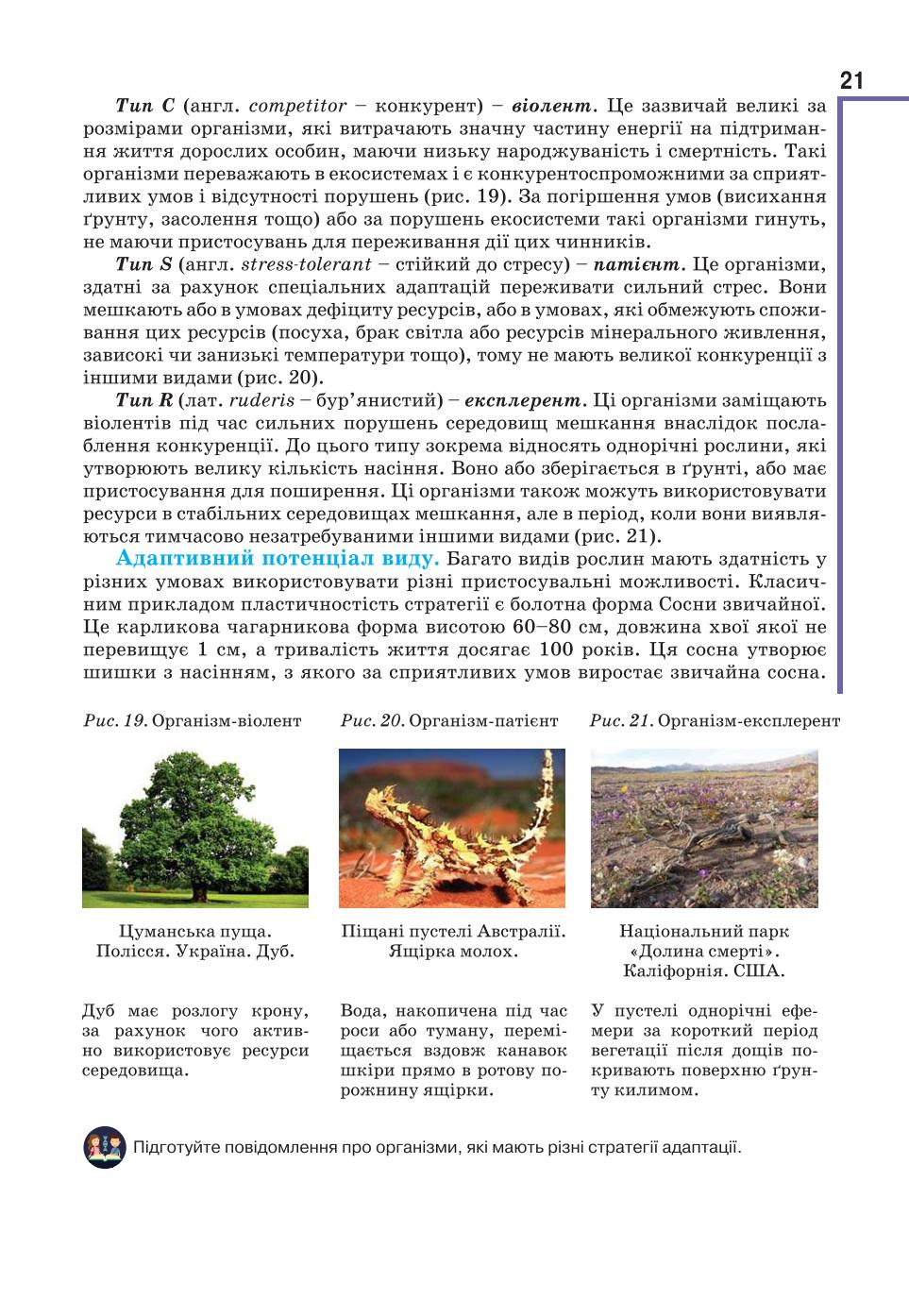 Мініатюра 21