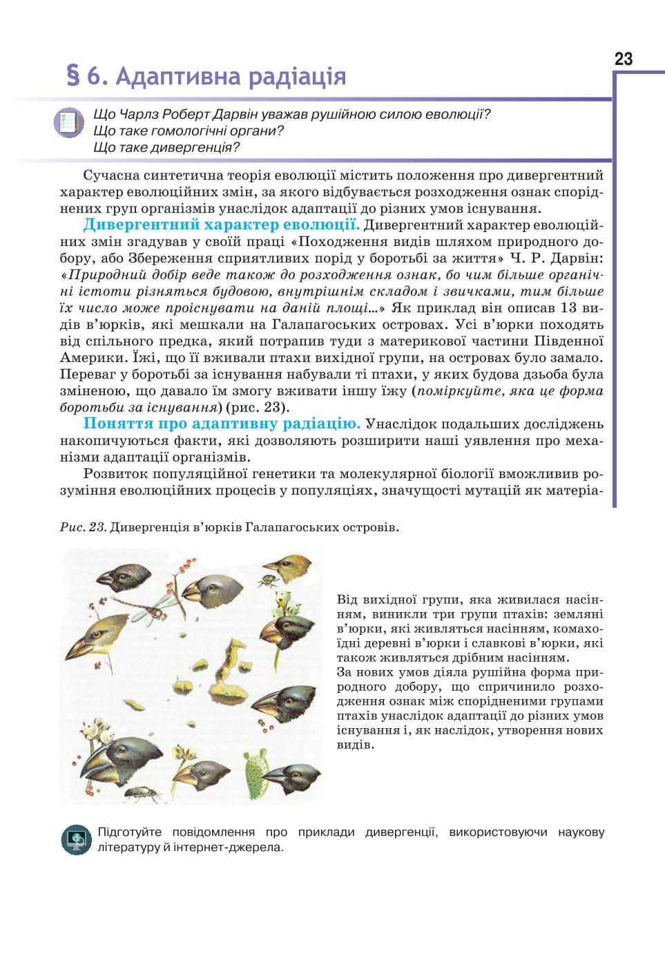 Мініатюра 23