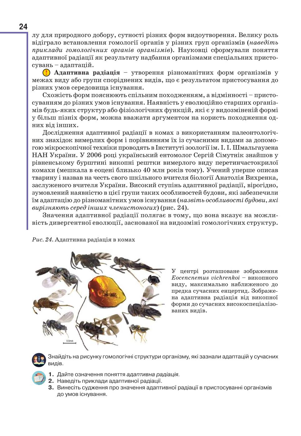 Мініатюра 24