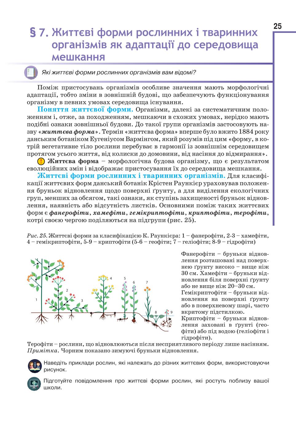 Мініатюра 25