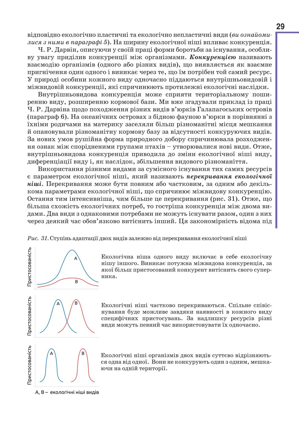Мініатюра 29