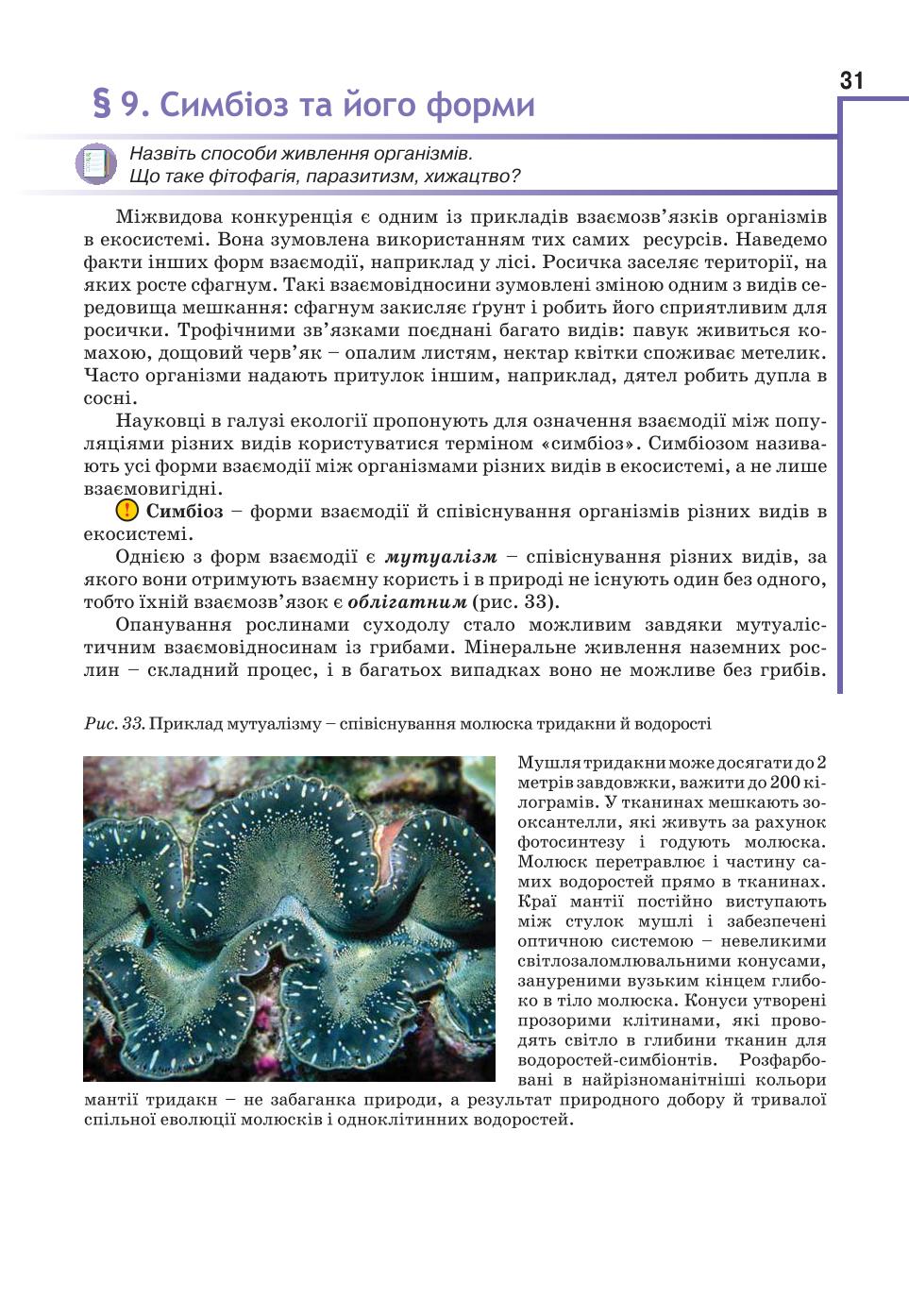 Мініатюра 31