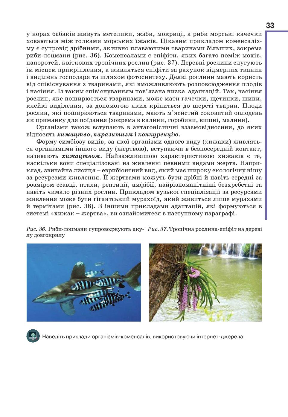 Мініатюра 33