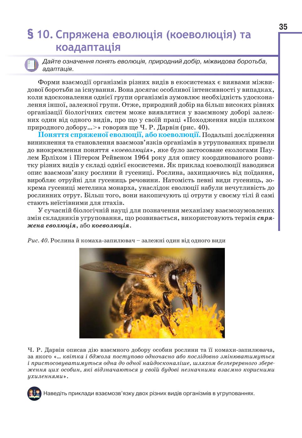 Мініатюра 35