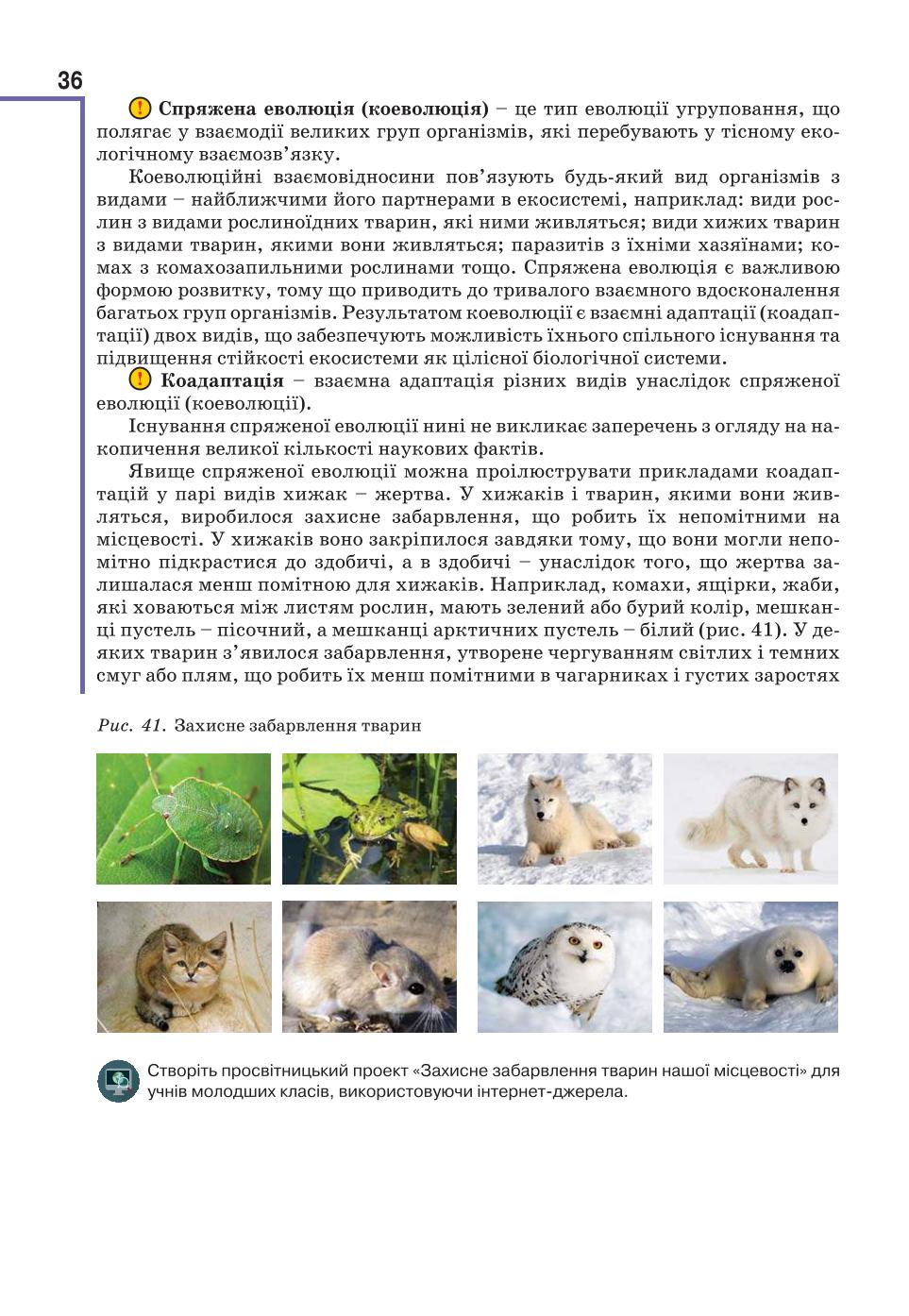 Мініатюра 36