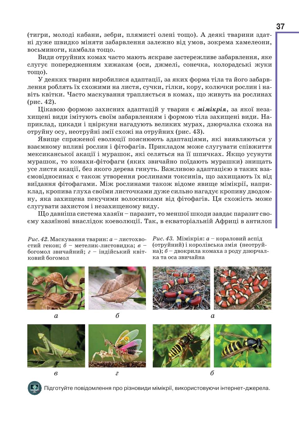 Мініатюра 37