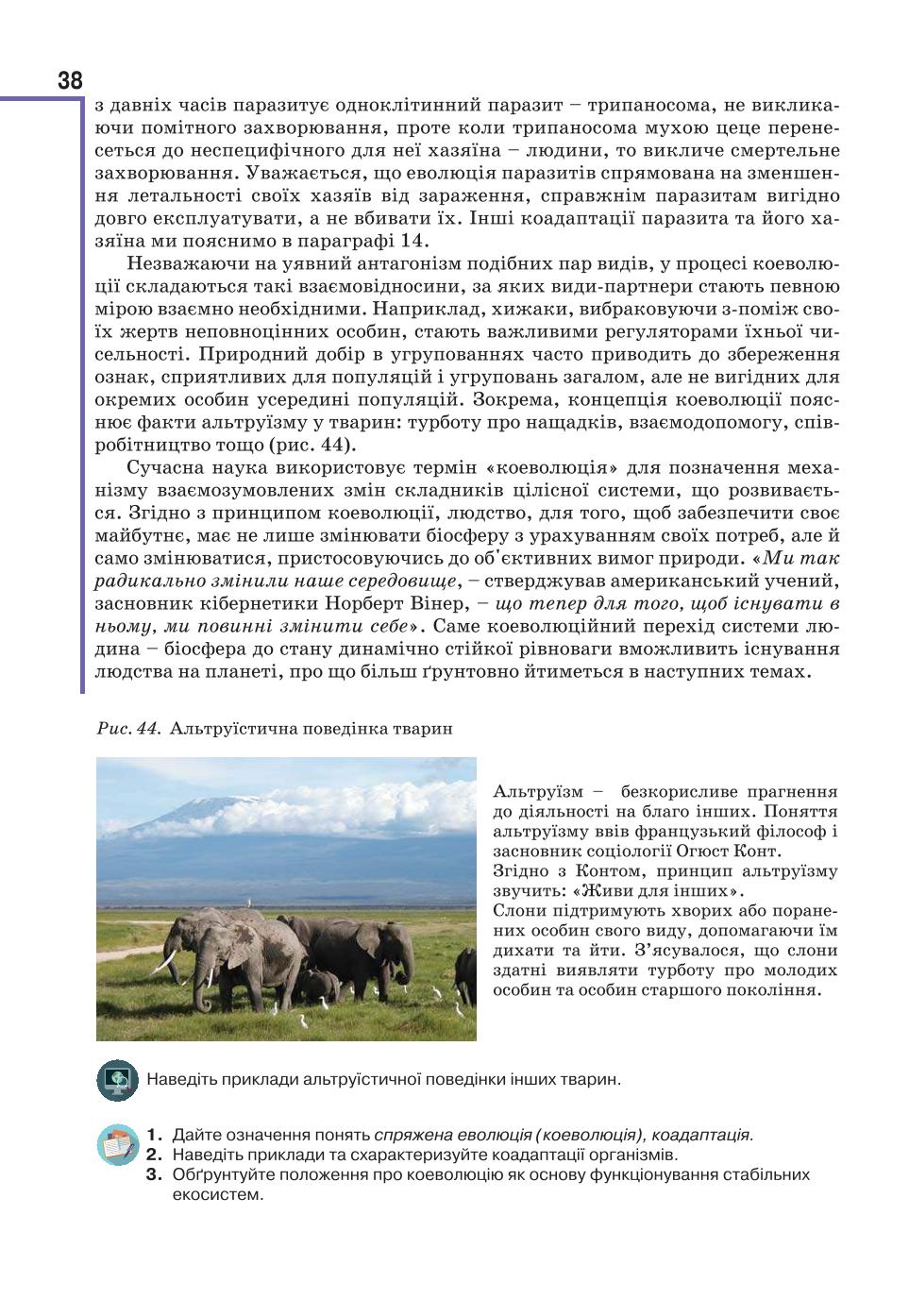 Мініатюра 38