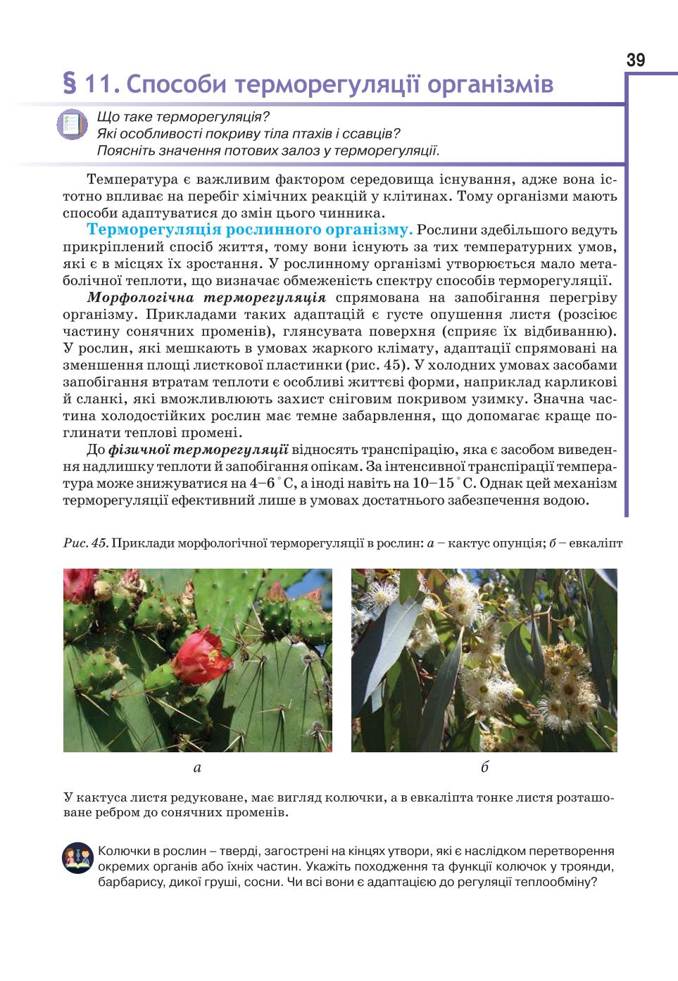 Мініатюра 39