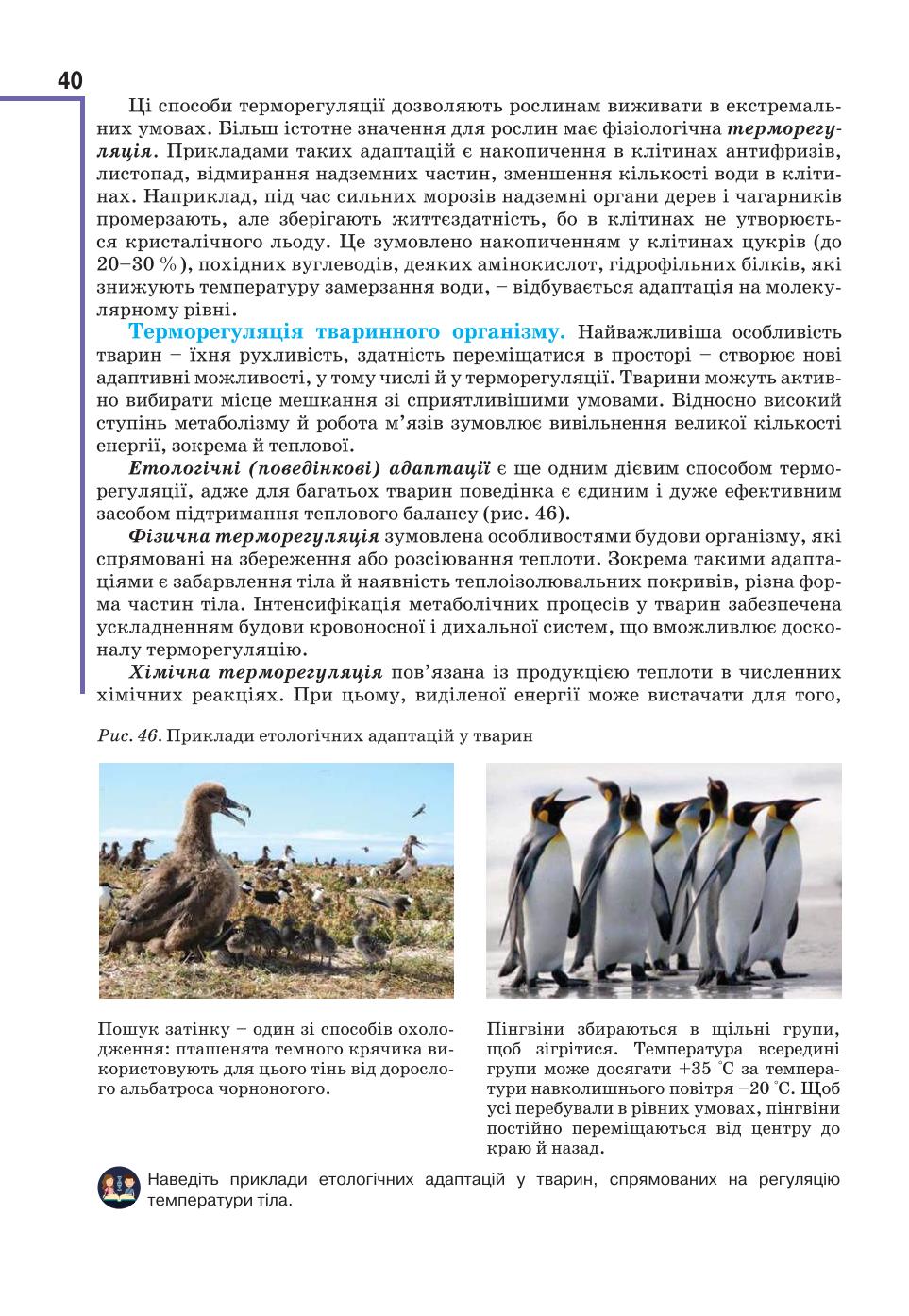 Мініатюра 40