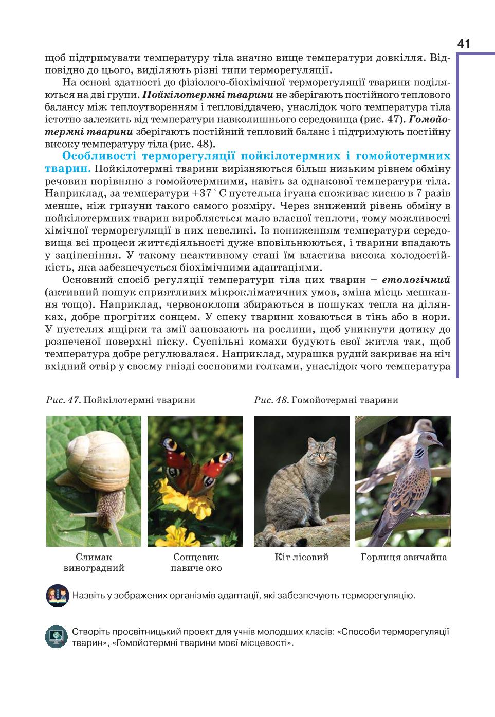 Мініатюра 41