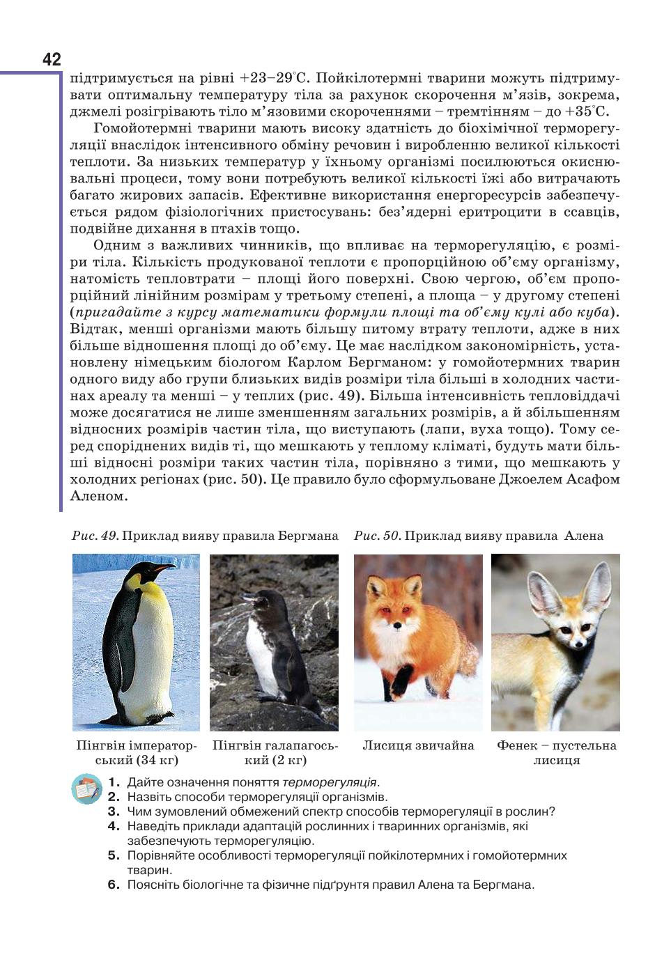 Мініатюра 42