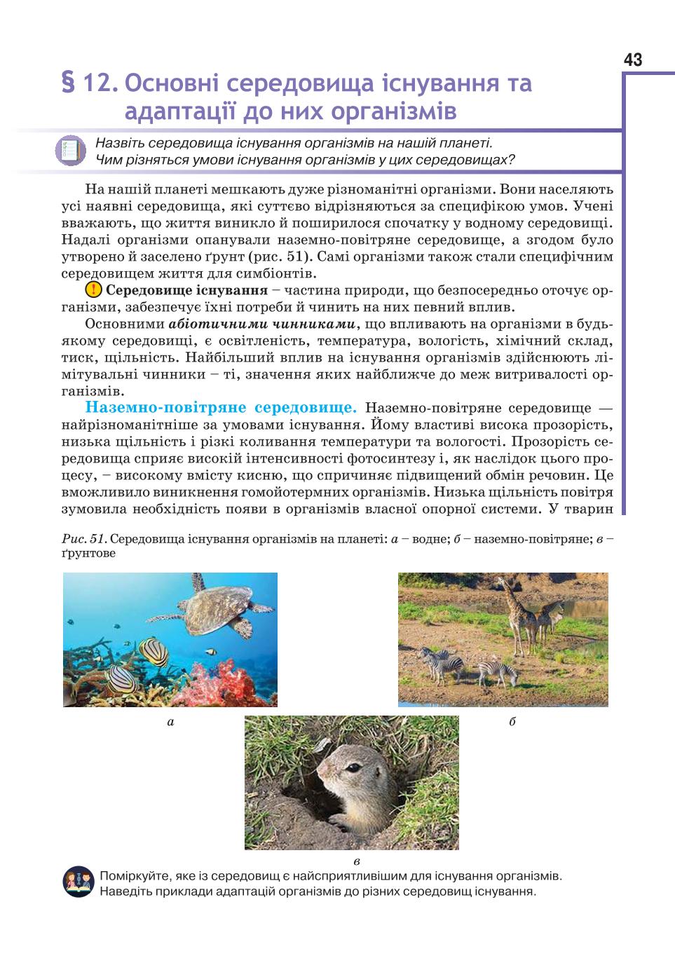 Мініатюра 43