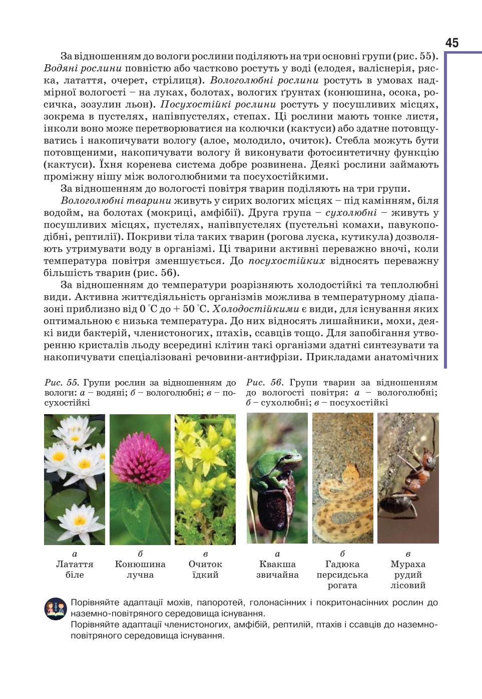 Мініатюра 45