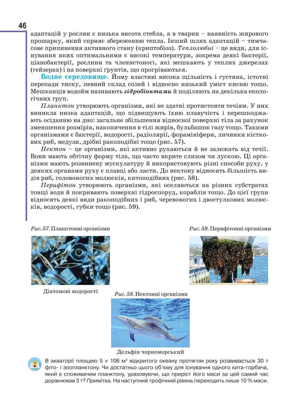 Мініатюра 46