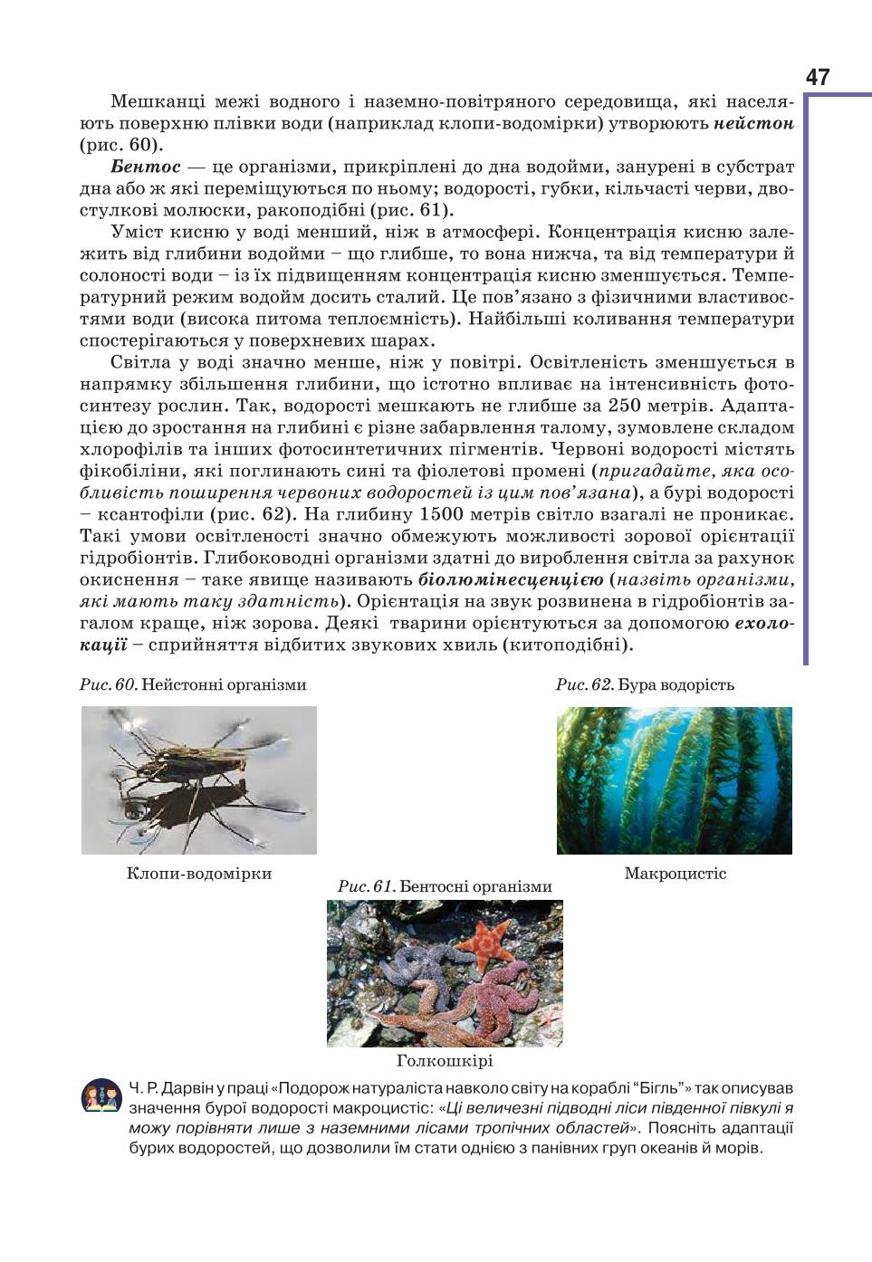 Мініатюра 47