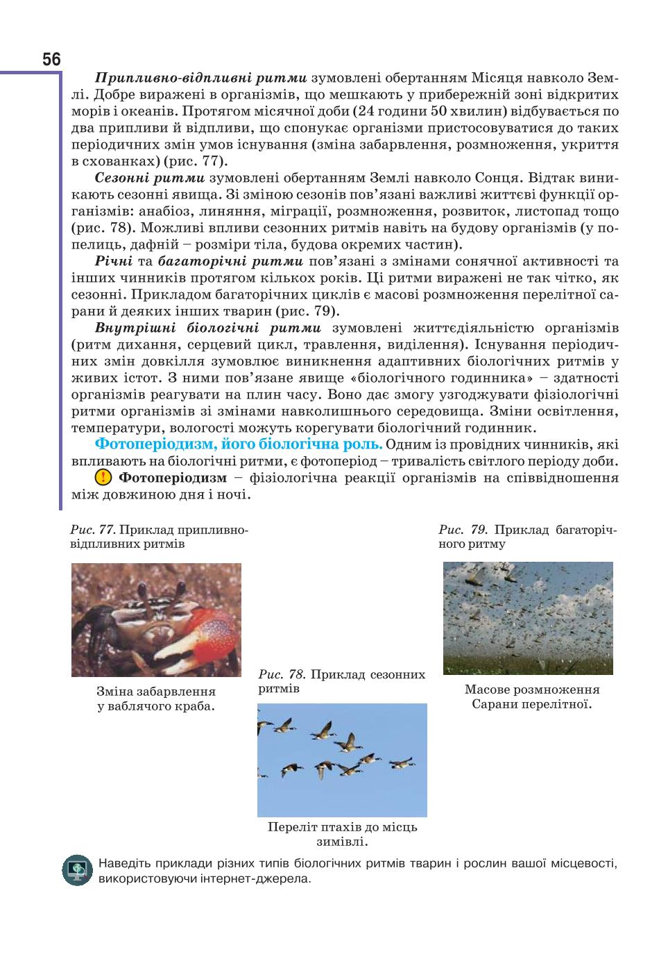 Мініатюра 56