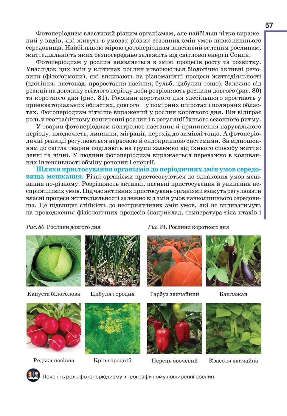 Мініатюра 57