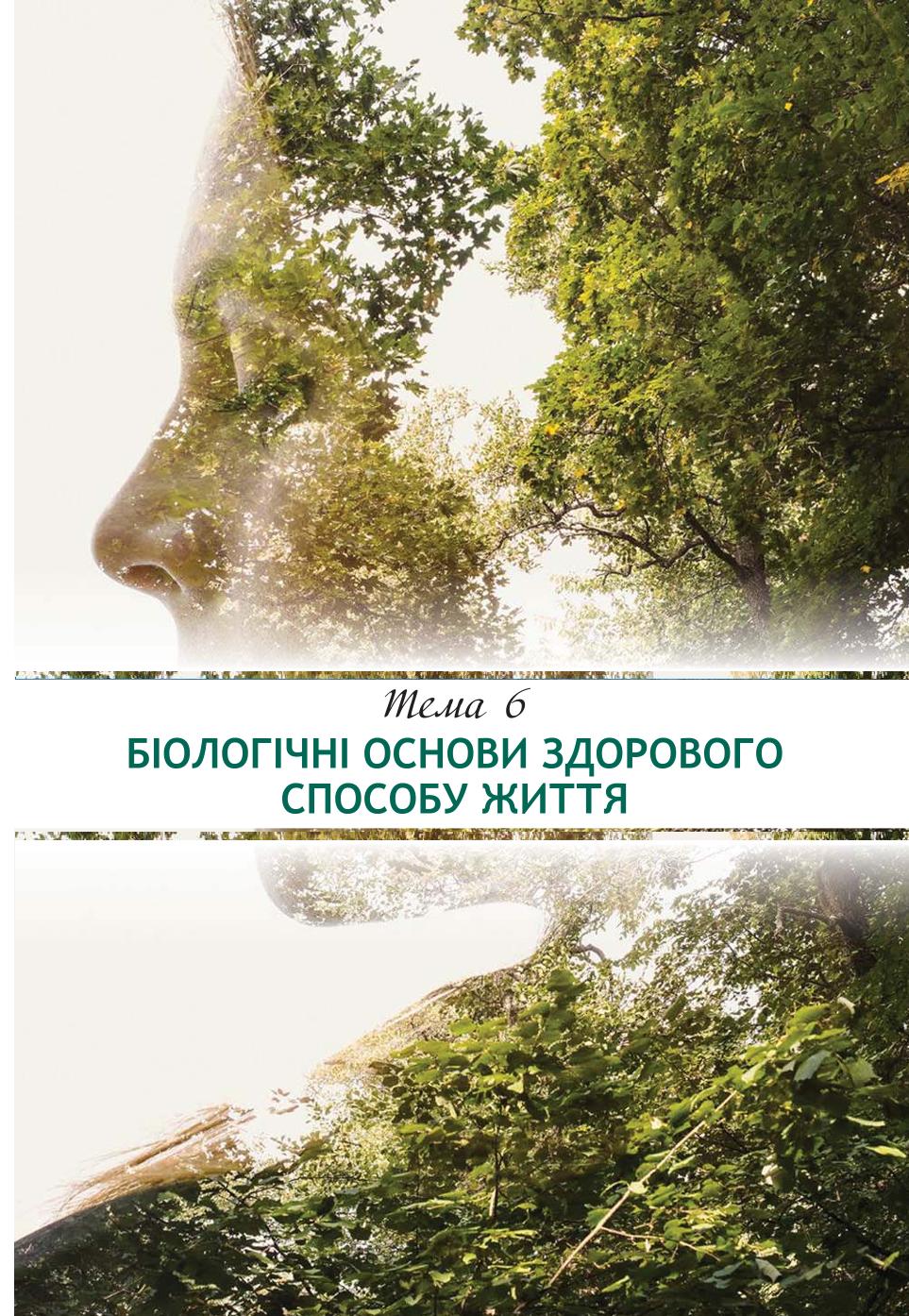 Мініатюра 65