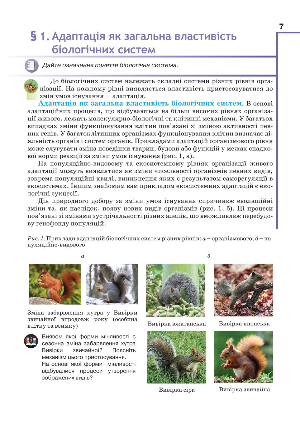 Мініатюра 7