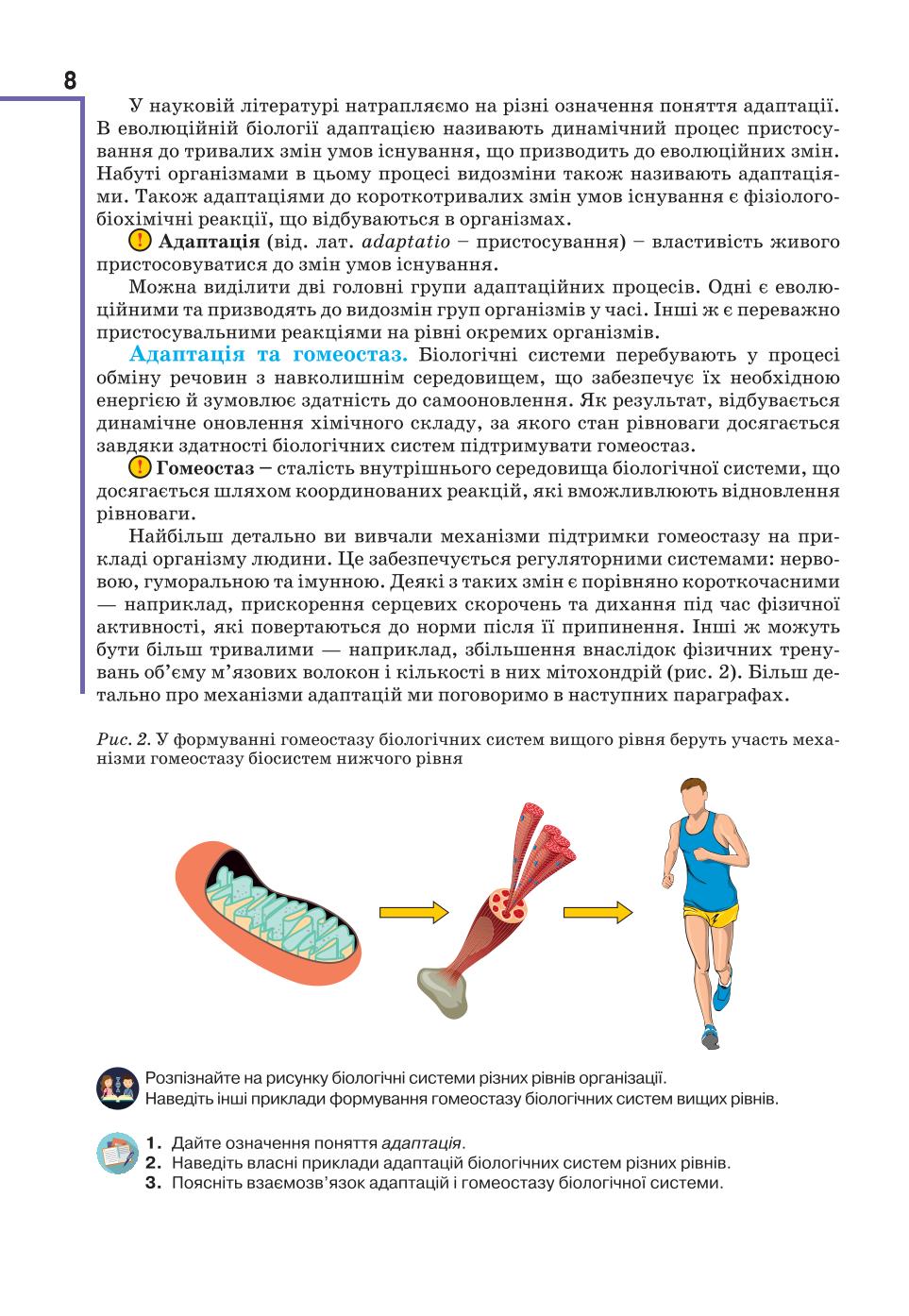 Мініатюра 8