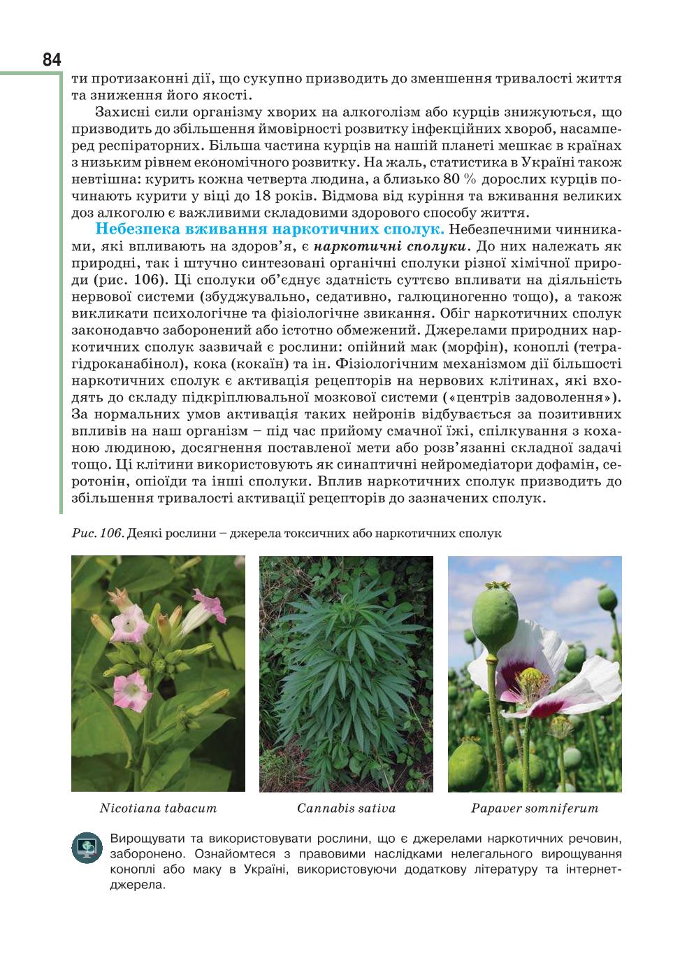 Мініатюра 84