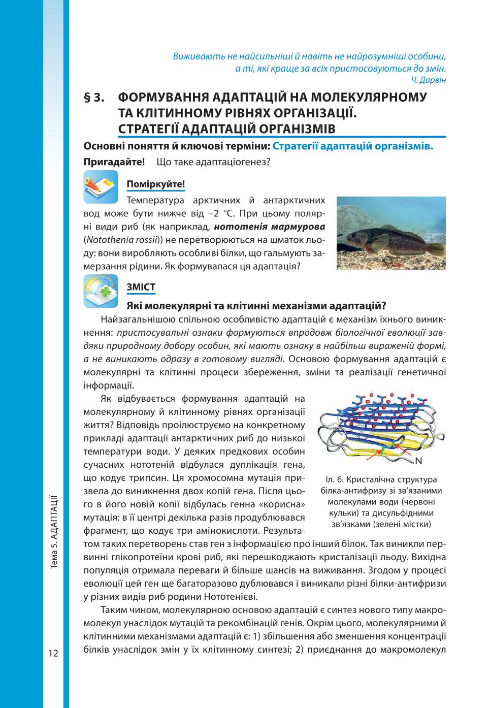 Мініатюра 12