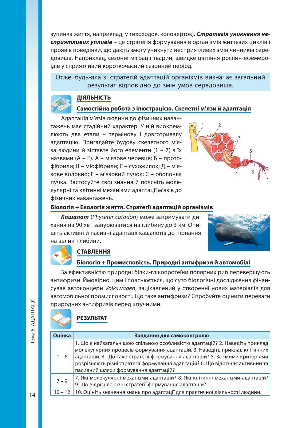 Мініатюра 14
