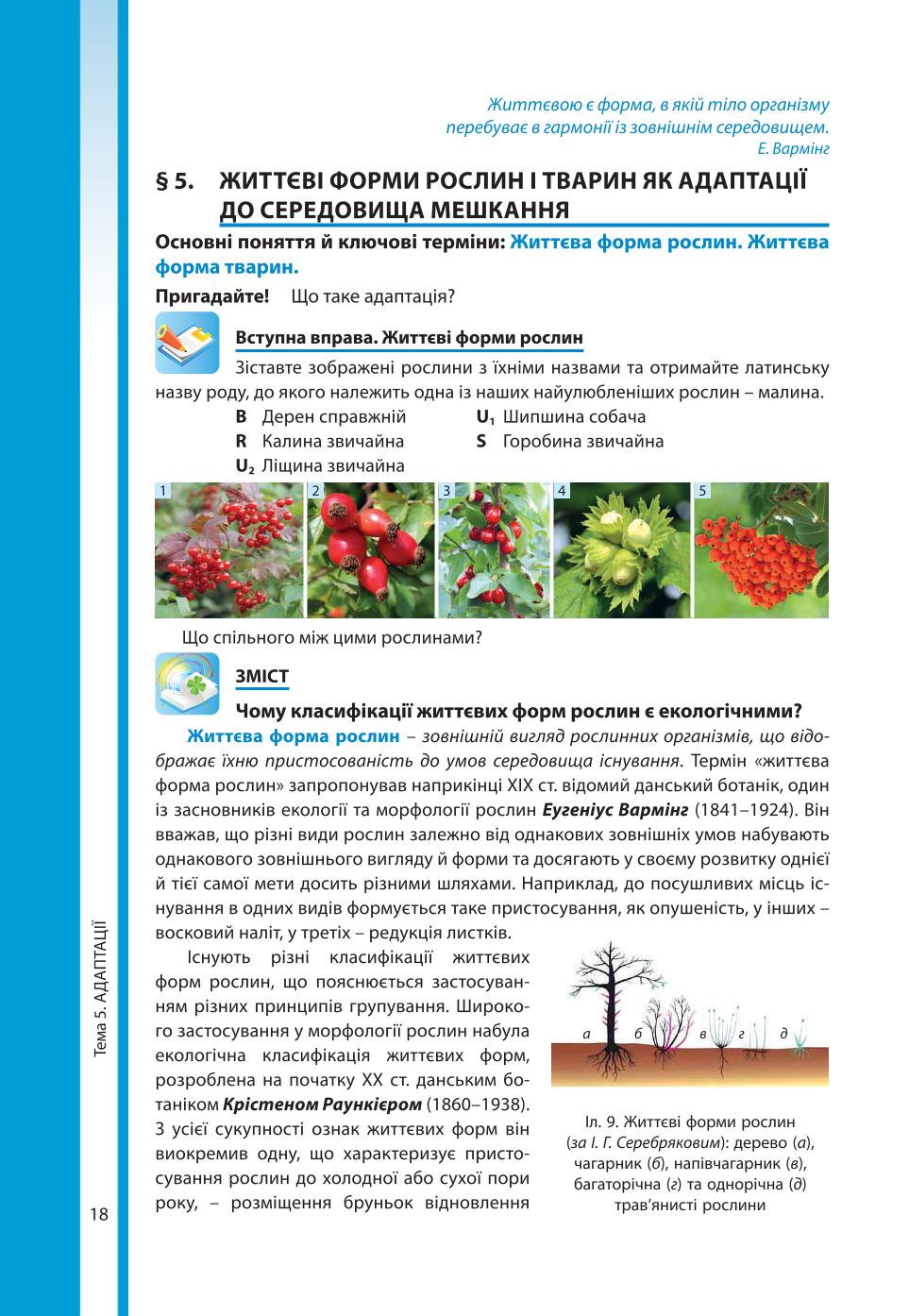 Мініатюра 18