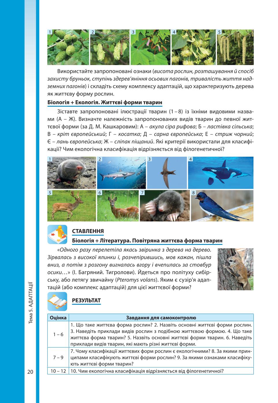 Мініатюра 20