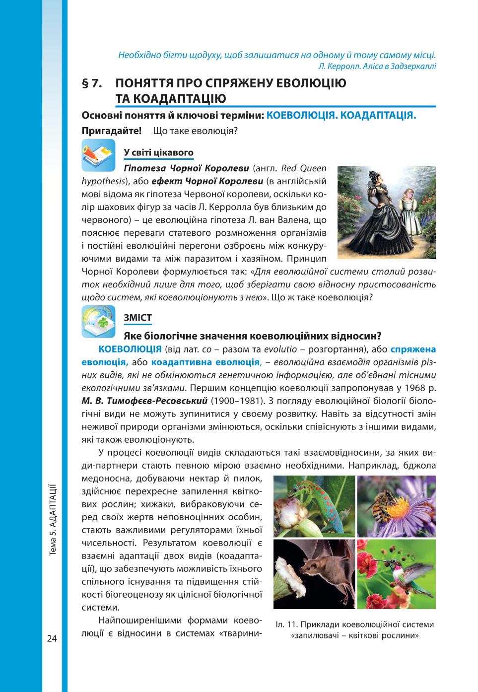 Мініатюра 24