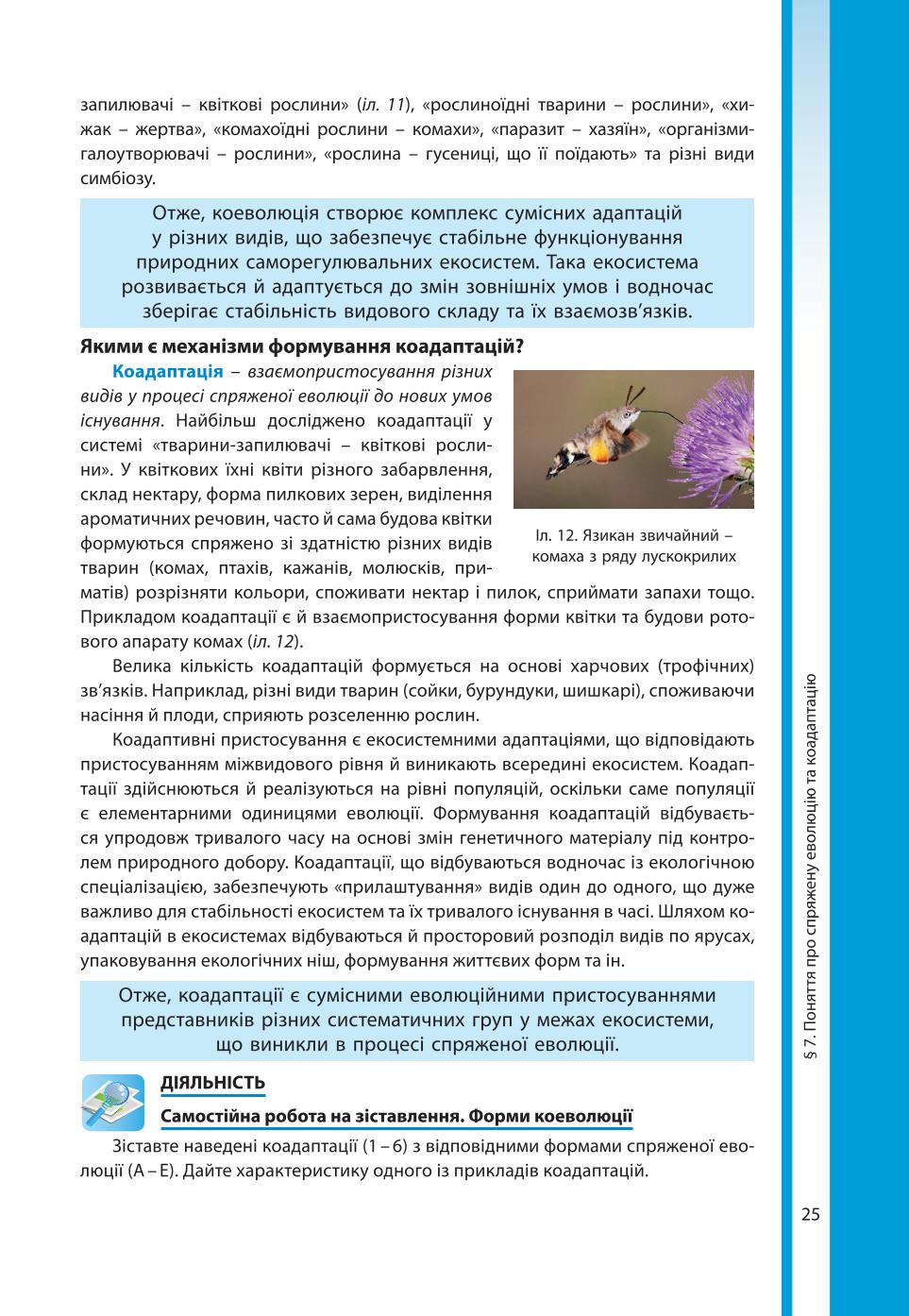 Мініатюра 25